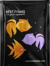 PetStorePlanet