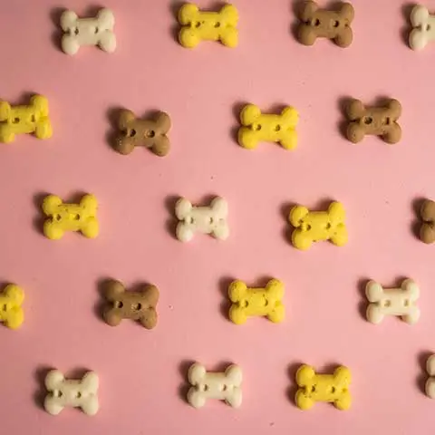 PetStorePlanet